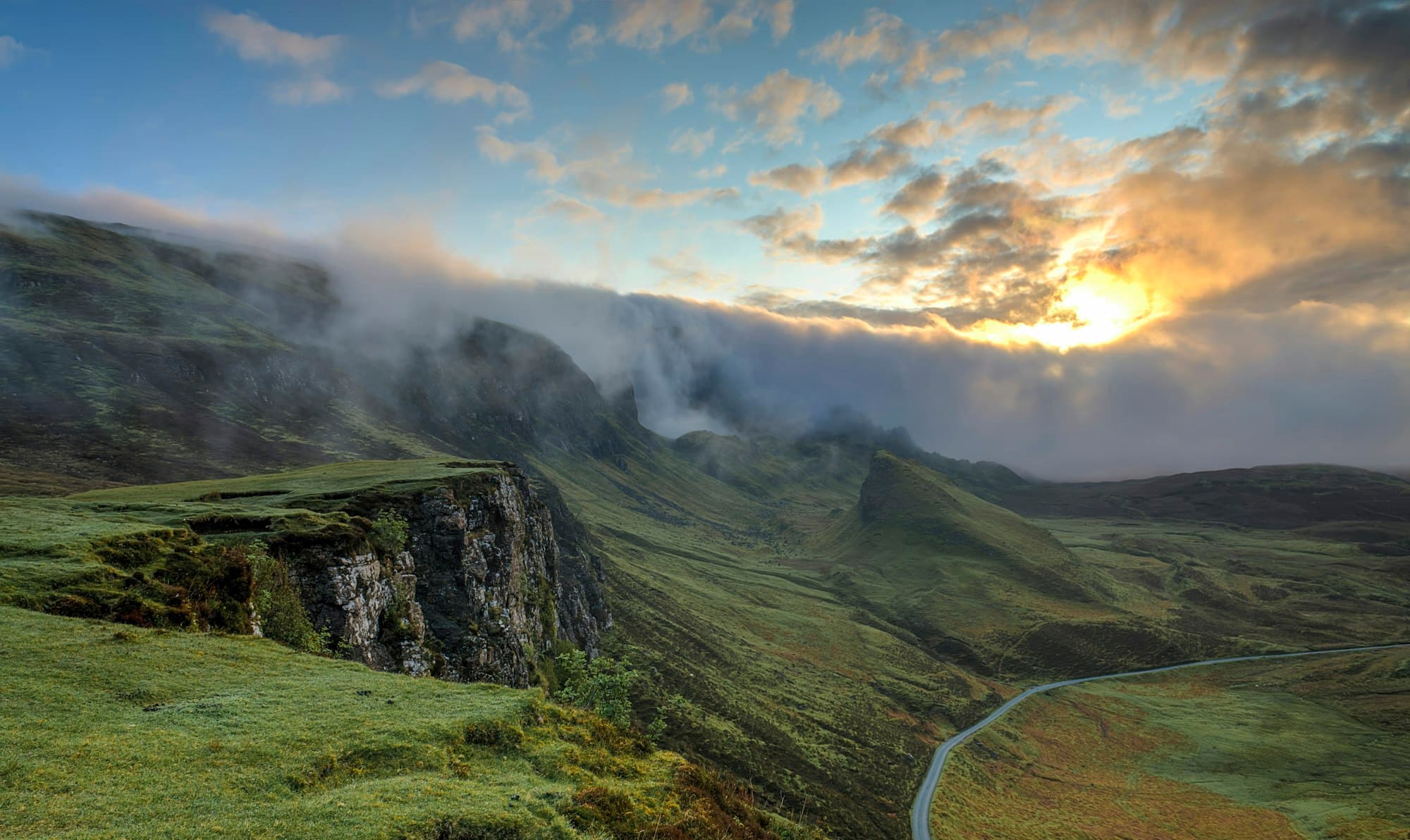 Misty evergreen forest at dawn